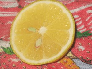 лимон для домашнего майонеза